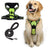 Burst proof dog harness shown in bright colours with round rope lead
