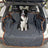 Dog sitting on a black edge boot liner in the car