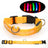 Rechargeable LED dog collars in eight glowing colours