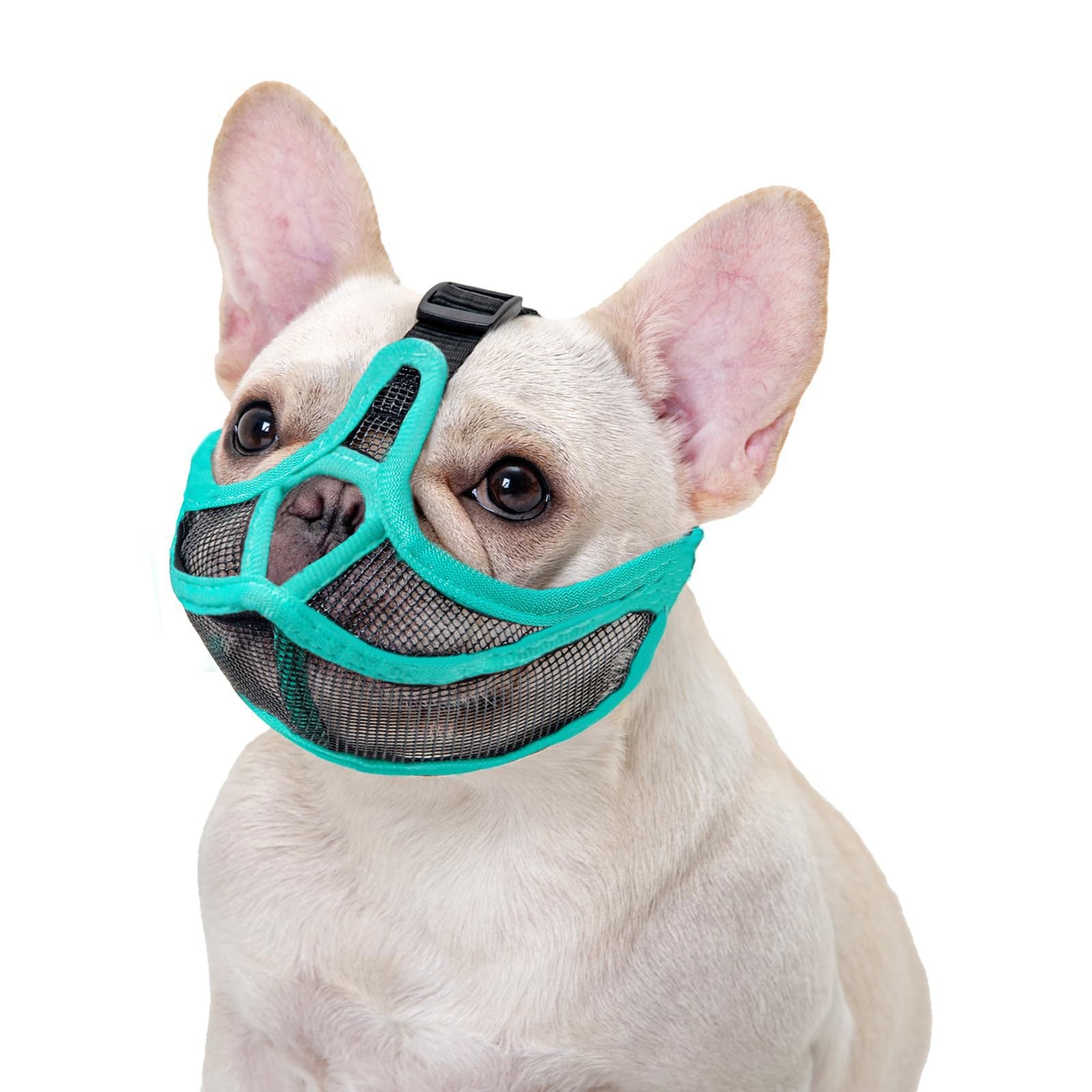 Breathable mesh muzzle for flat-faced dogs, product image 11