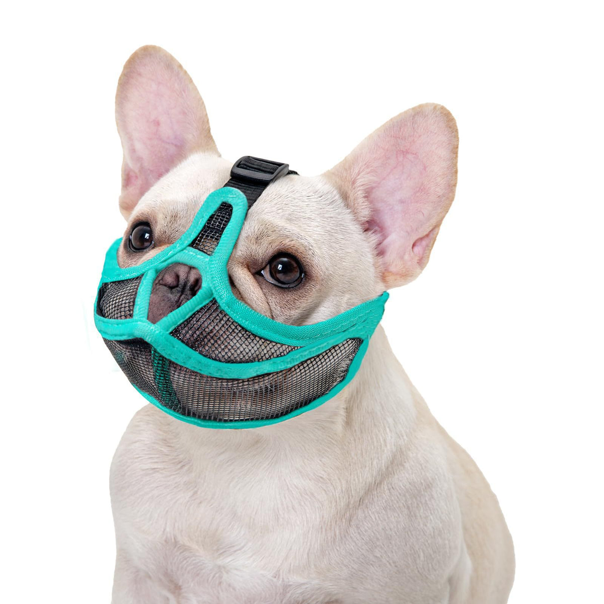 Breathable mesh muzzle for flat-faced dogs, product image 11