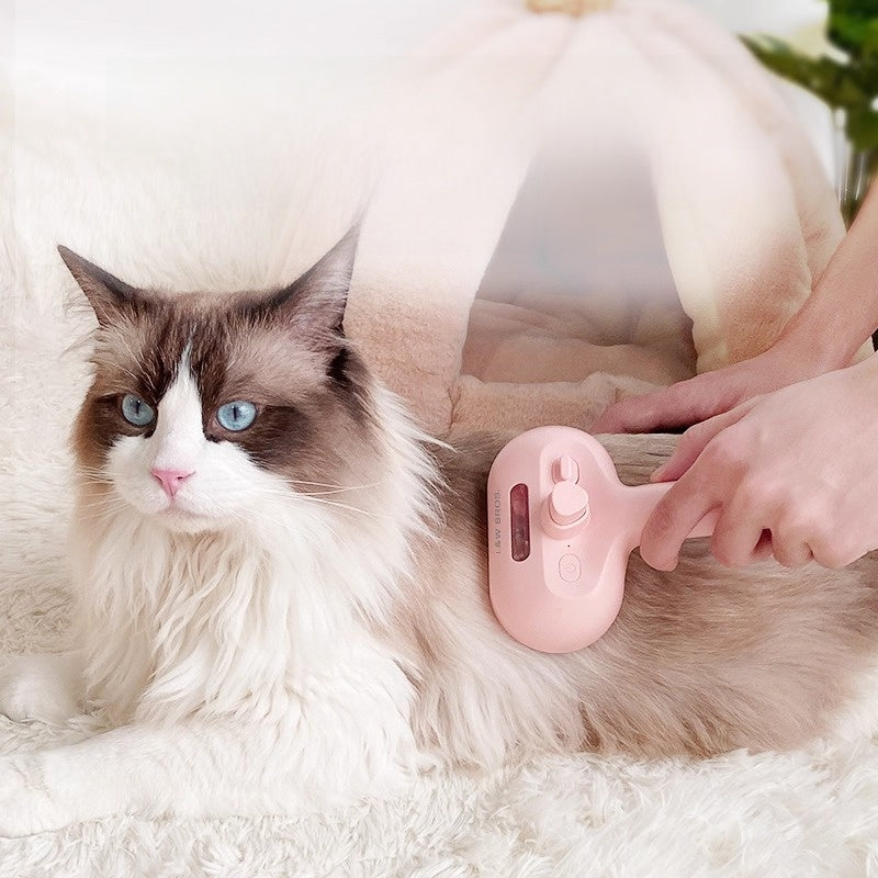 Rechargeable pet spray grooming comb, product detail photo