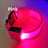 LED nylon pet collar with double-sided glow in Blue, in a home setting