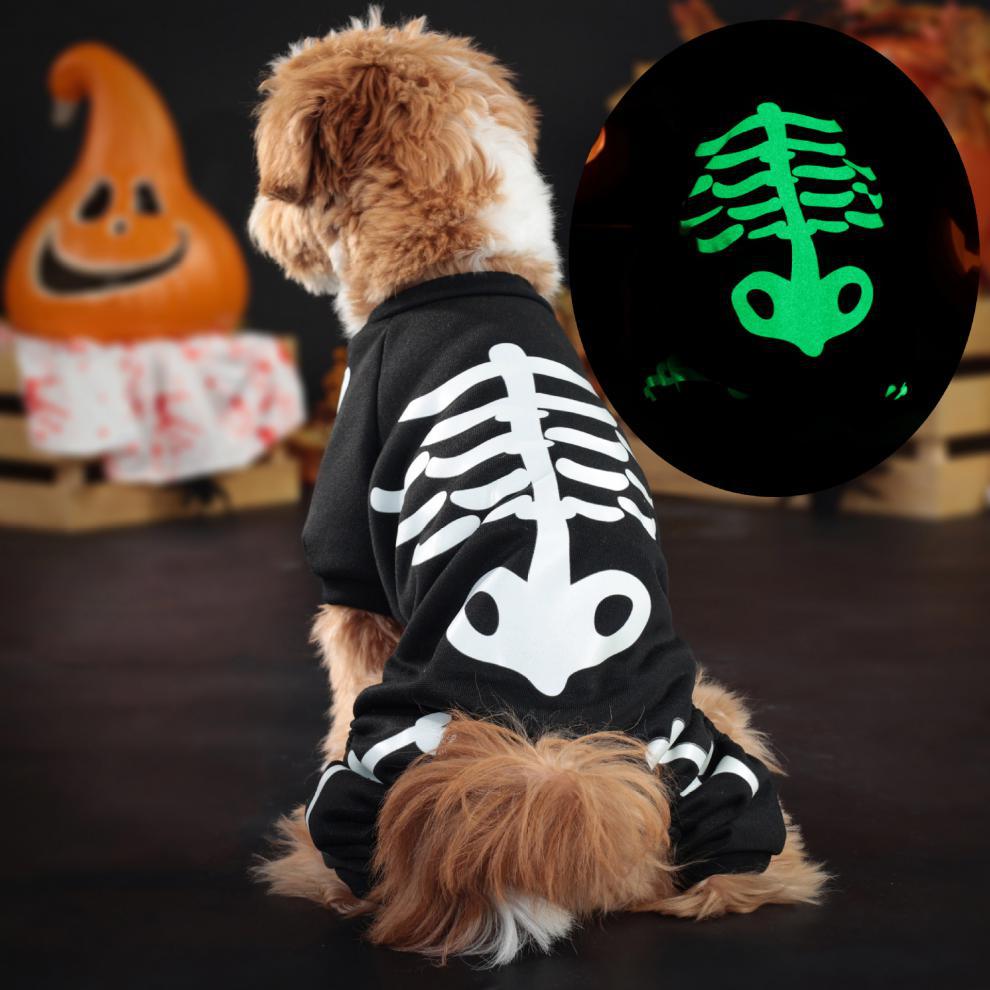 Dog wearing a glow in the dark skeleton costume