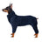 Adjustable high neck fleece coat for large dogs in Turquoise, front view