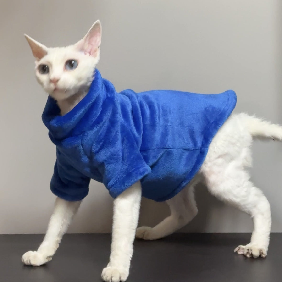 Thick velvet Sphynx cat jumper, available in 10 colours, image 62