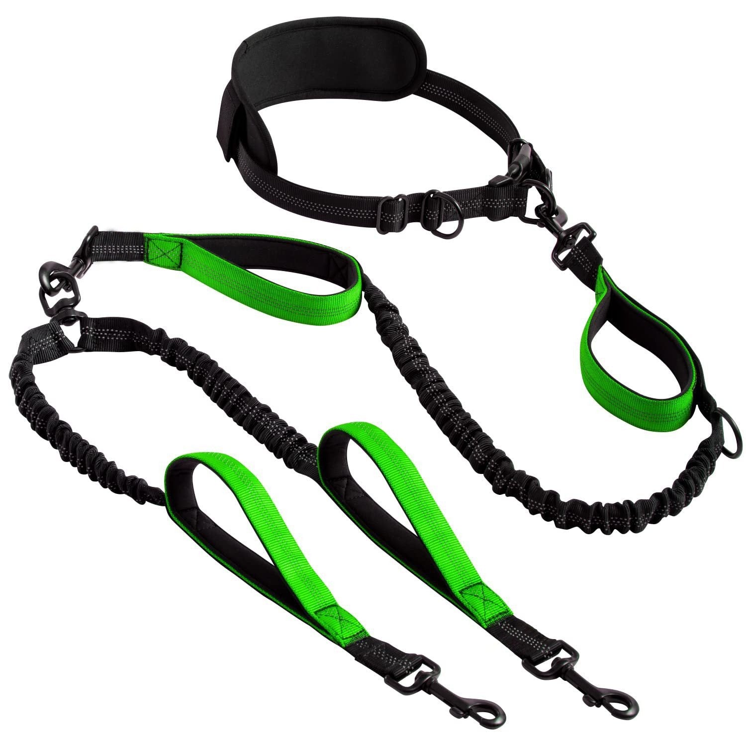 Hands-free double dog lead with bungee buffer, product photo