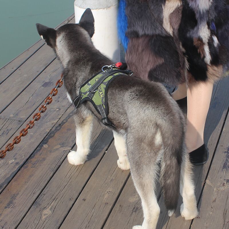 Breathable adjustable dog harness with reflective lead in Pink, showing size and shape
