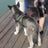 Breathable adjustable dog harness with reflective lead in Pink, showing size and shape