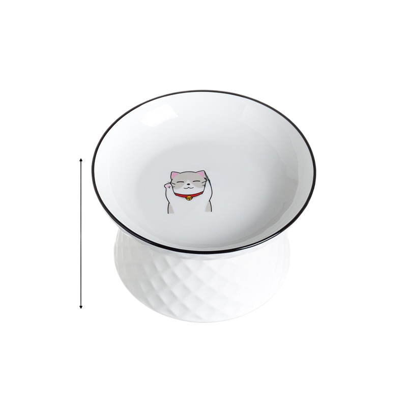 Raised Ceramic Cat Bowl, Elevated Feeding Dish