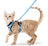 Reflective vest harness with adjustable lead, 3 sizes available