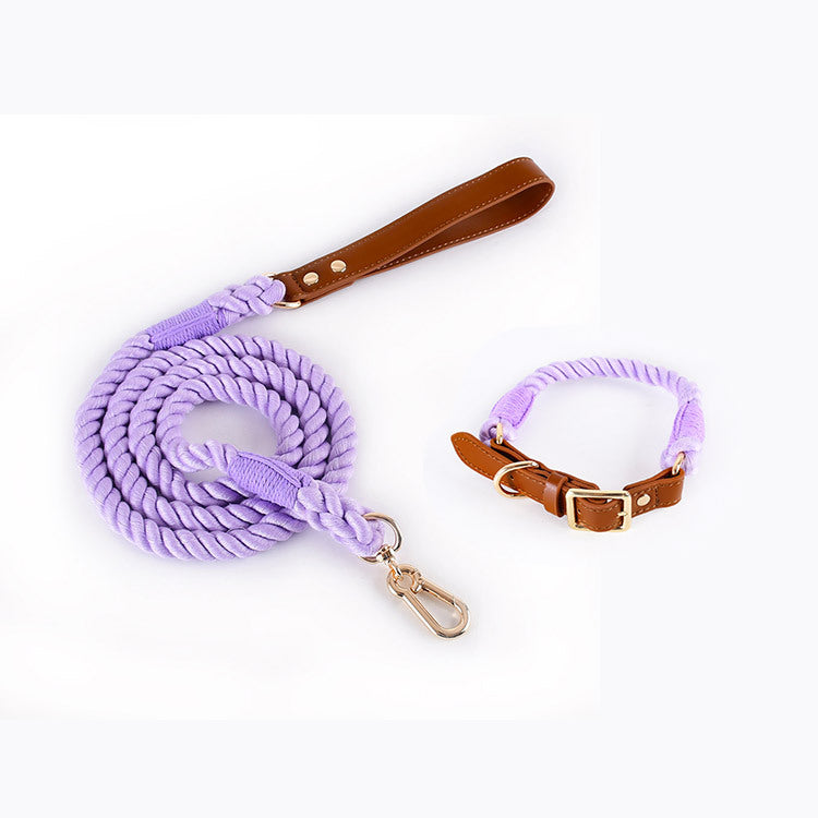 Braided cotton rope dog lead or collar, ideal for everyday use