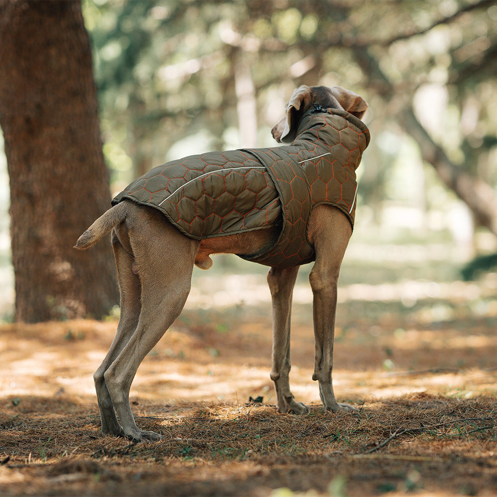 Thick water-repellent dog jacket with reflective trim in Orange, close-up detail