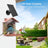 Smart Solar Bird Feeder with Camera