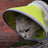 Soft Elizabethan Collar for Pet Surgery Aftercare