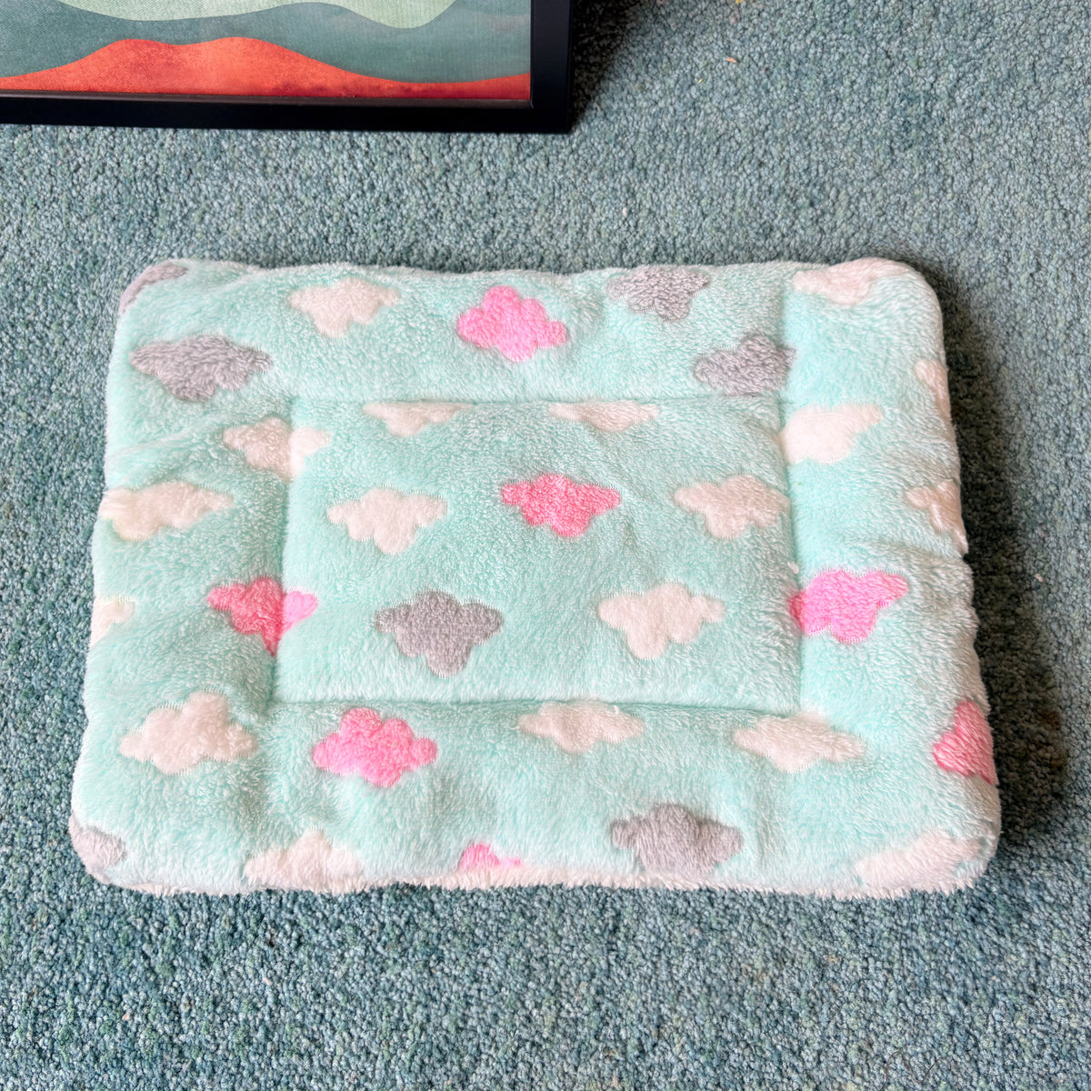 Plush flannel pet blanket mat with cute print, photo 48 of 55