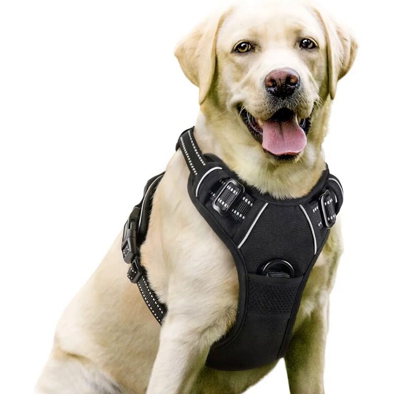 No-pull soft padded dog harness, available from Pet Royale UK