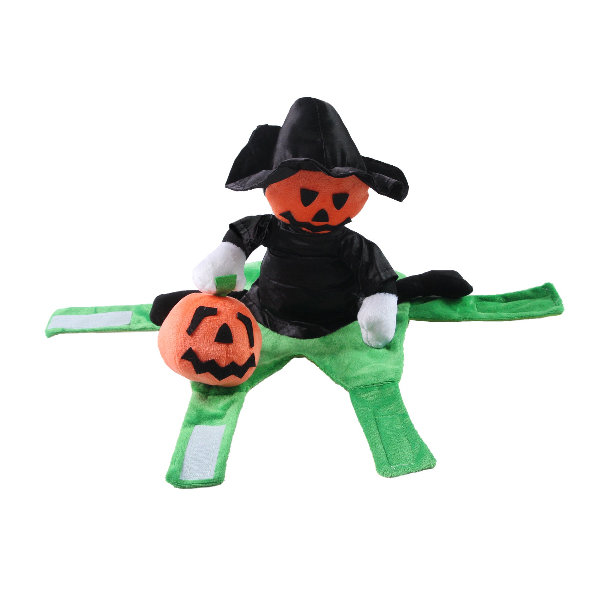 Small dog wearing a pumpkin knight riding horse costume