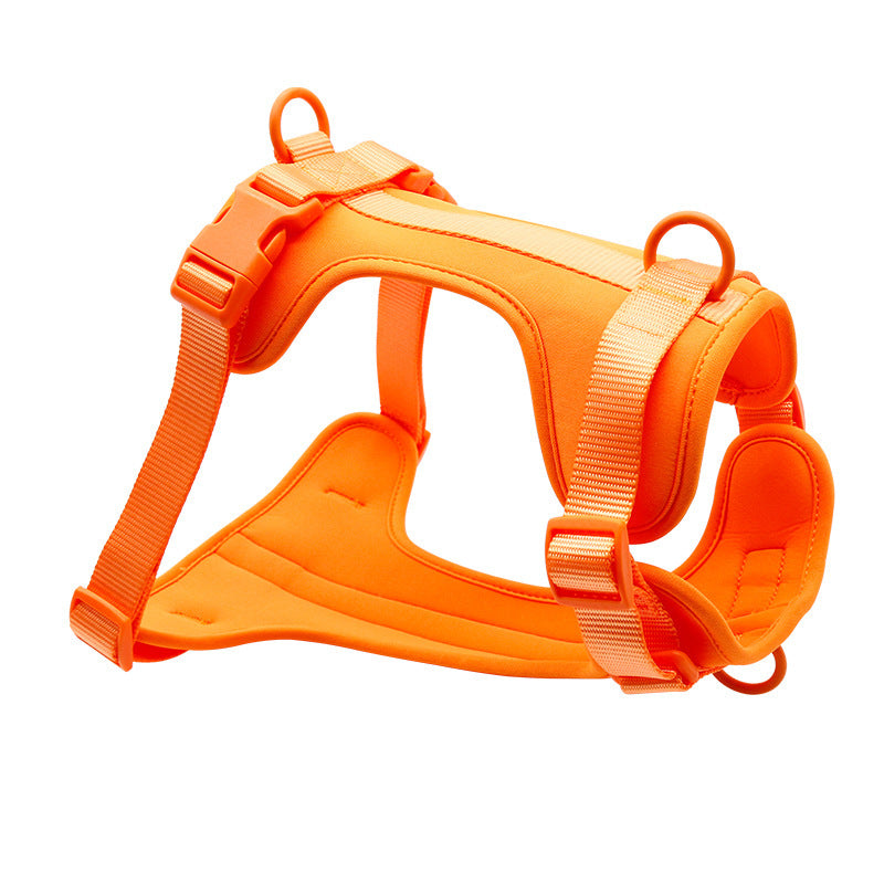Waterproof PVC dog harness set, 4 sizes available