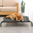 Pet Camp Bed