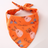 Small dog wearing a pretty floral print triangle pet bandana