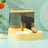 Automatic Cat Feeder and Water Dispenser with Sliding Cover and Controlled Portion Release
