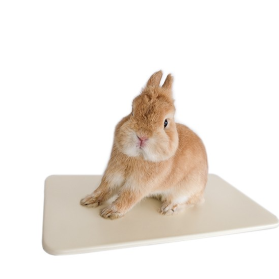 Hamster resting on an off white ceramic cooling tile