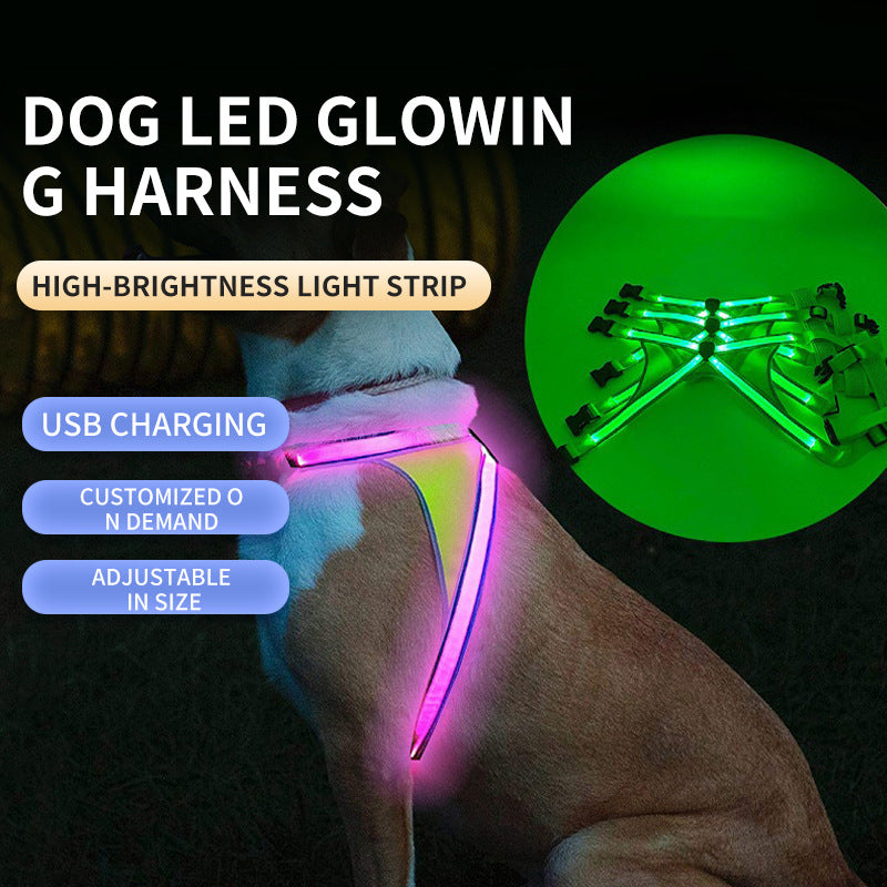 Dog wearing a glowing green LED harness vest at night