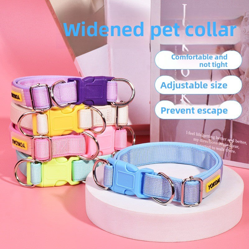 Dog collar and lead in one in 5 colour options