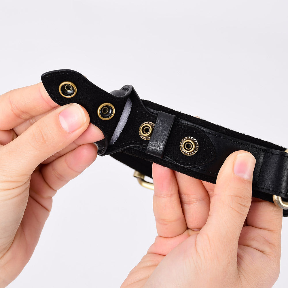 Dog collar and lead sets with tracker holder in five colours