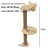 Suction cup window cat bed with clear capsule in Bear 2 Tier Window Climber