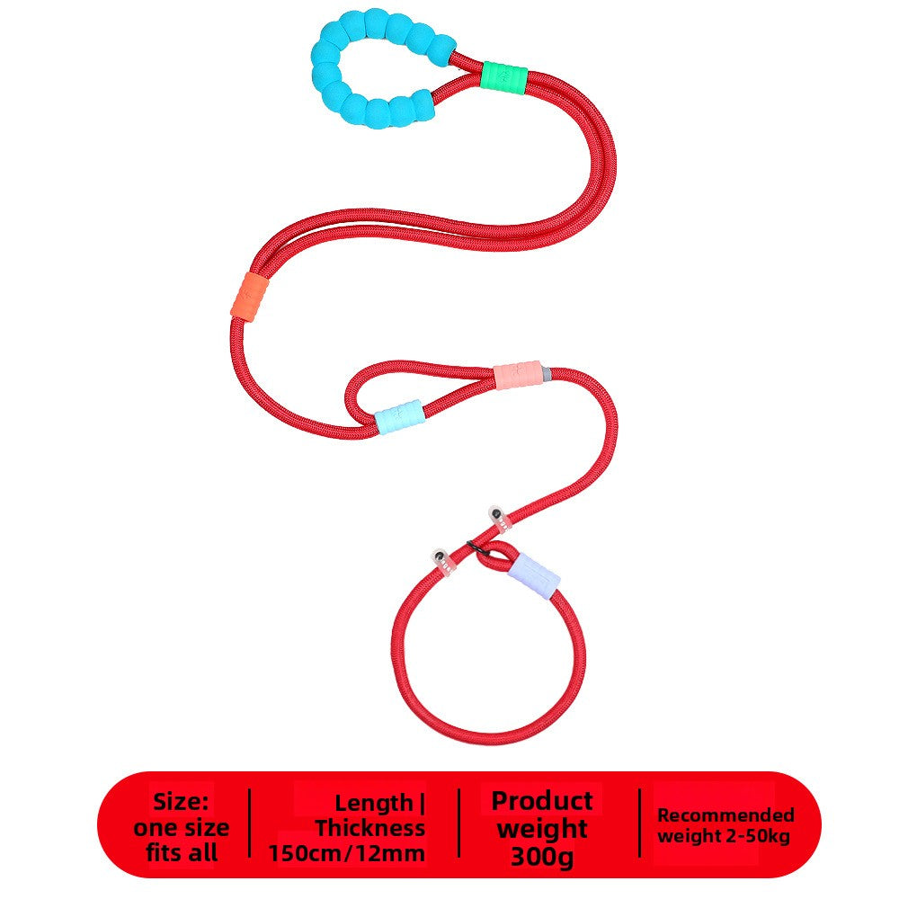 Bright nylon dog lead in vivid colour, product image 25