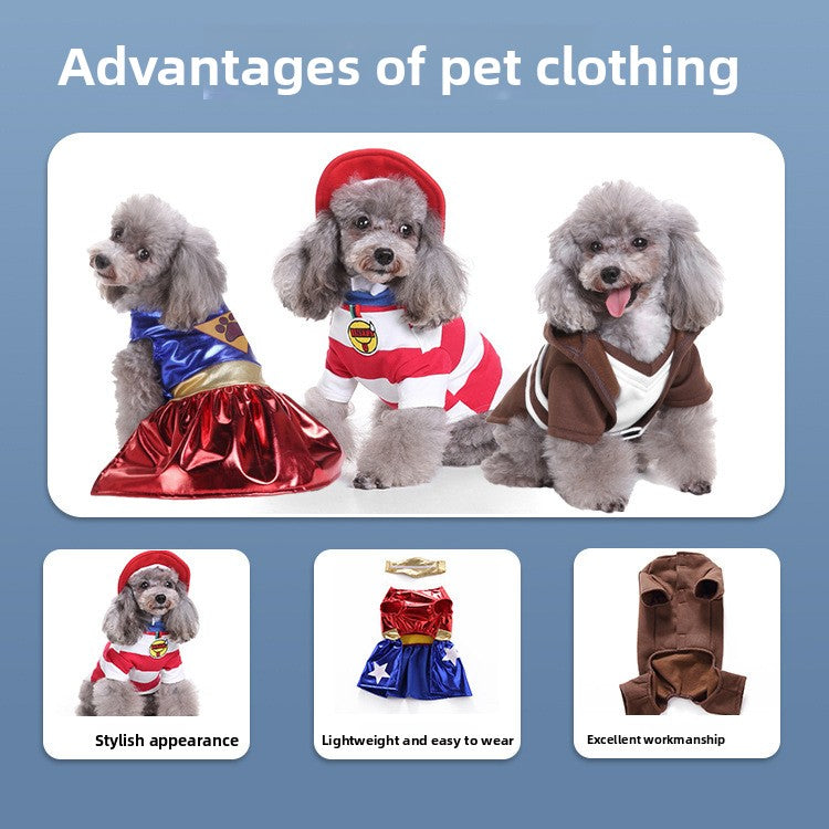 Small dog in a Christmas penguin costume with velcro fastening