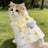 Heart print dog dress with matching lead, available in 2 colours, image 2
