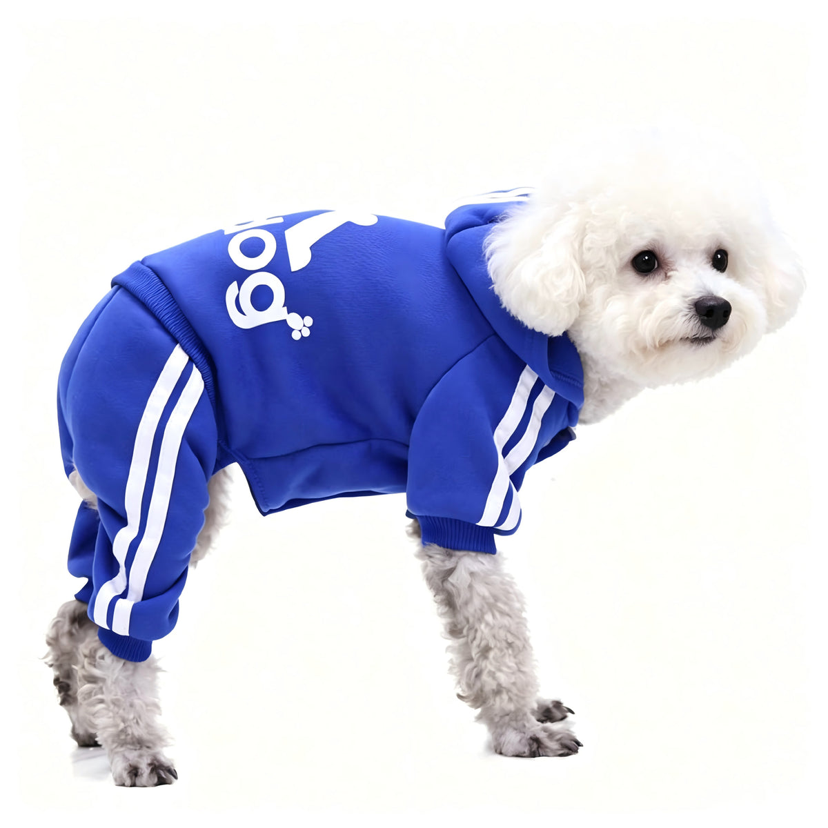 Small dog wearing a red four leg button up hoodie