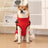 Warm padded cotton dog coat with reflective straps in Red, front view