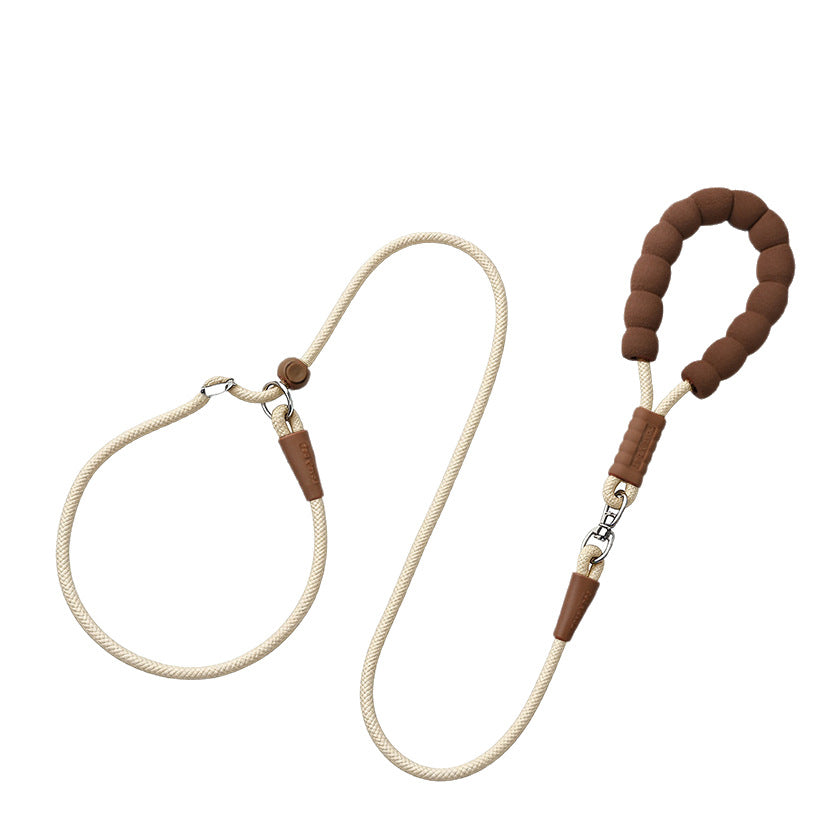 Show-style nylon slip lead for dogs, available from Pet Royale UK