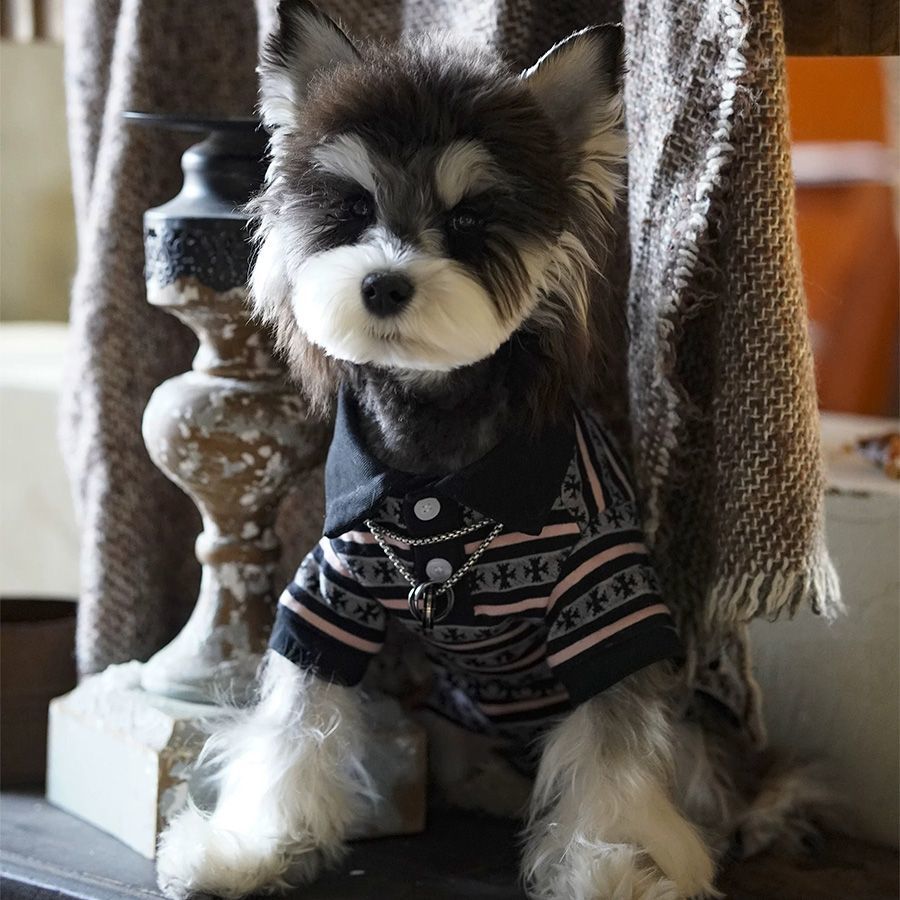 Plaid polo T-shirt for small dogs in Plaid, front view