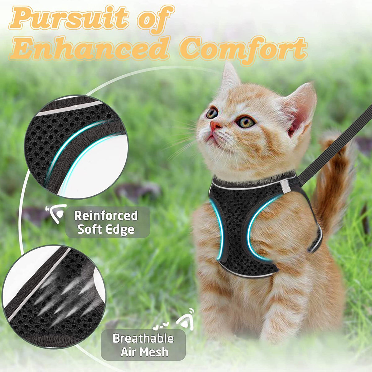 Breathable reflective mesh harness in lake blue on a cat