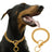 Cuban link stainless steel chain dog collar, ideal for everyday use