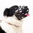 Black breathable TPR basket dog muzzle with buckle straps, product image 2