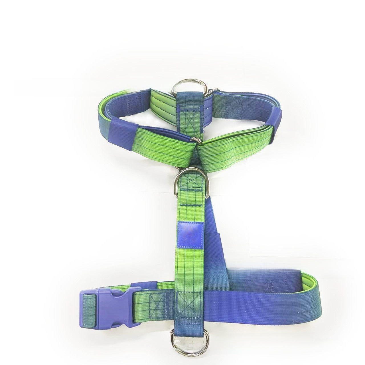 Small dog harness and lead set in bright gradient colours
