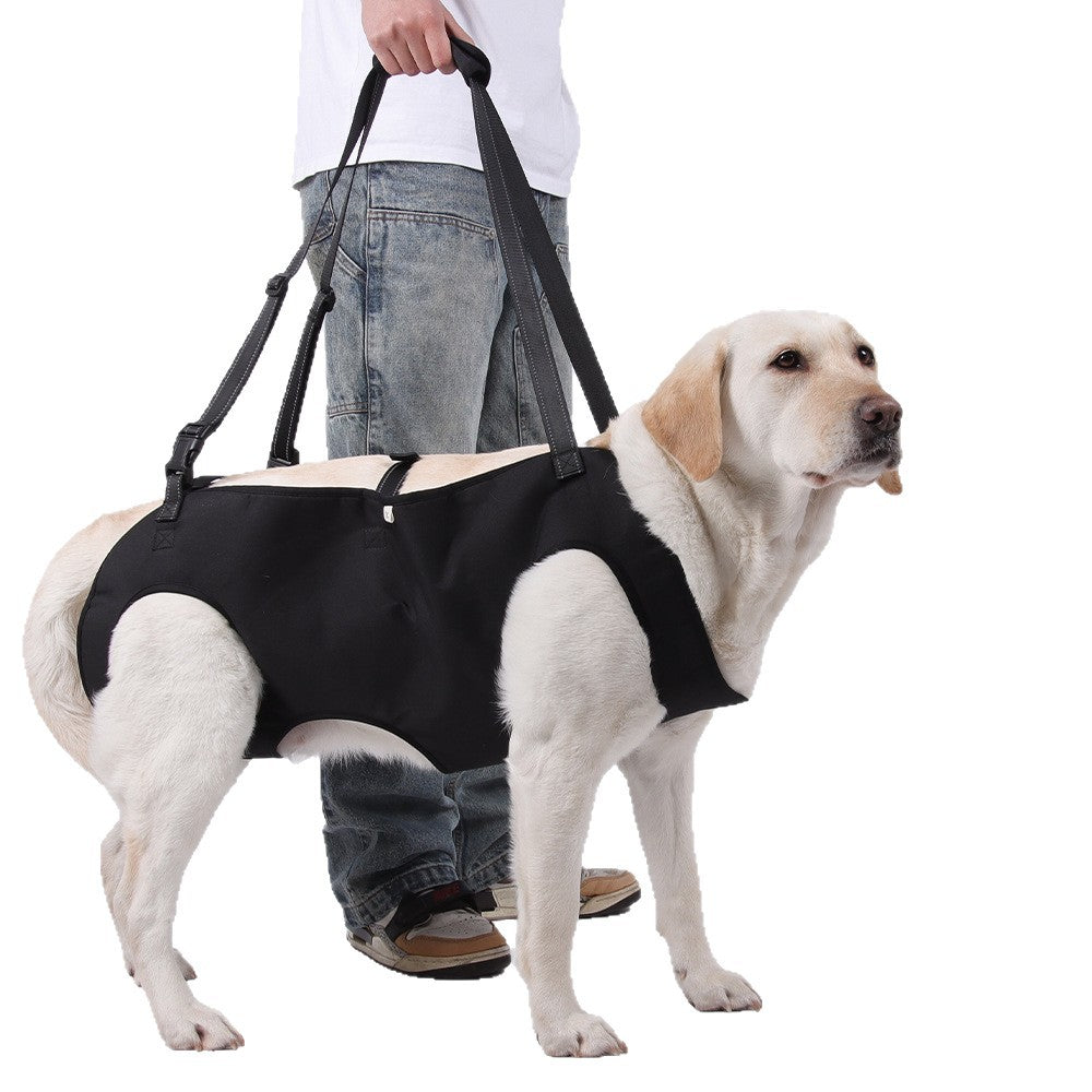 Black dog lifting support harness with padded handle, ideal for everyday use