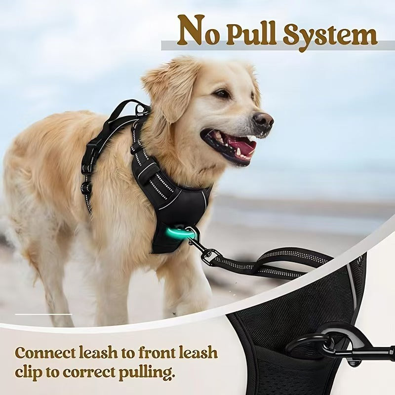 Adjustable dog harness and lead set shown in ten colours