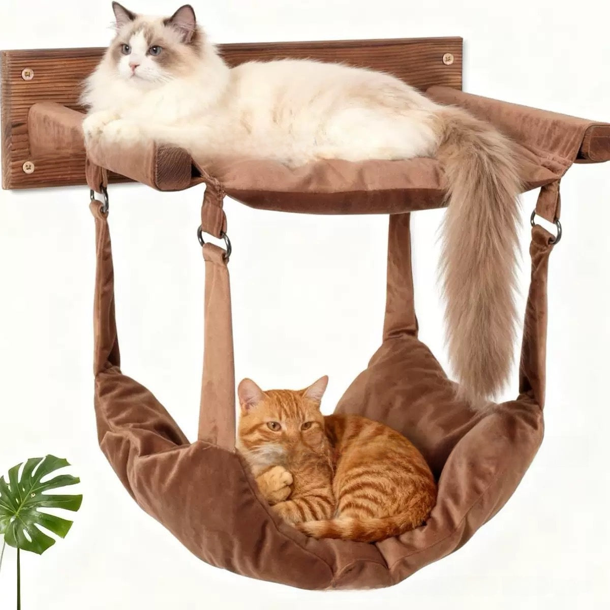 Modular wooden wall-mounted cat climbing frame in vintage finish