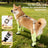 Anti-slip dog shoes with TPE soles and straps, product image 2