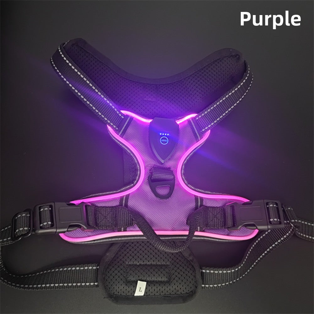 LED light-up dog harness for night walks, second detail photo