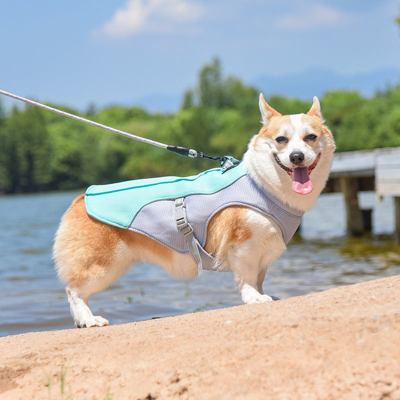 Dog wearing a blue breathable summer cooling vest