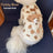 Quilted cotton dog vest harness with detachable plush teddy bear, product image 17