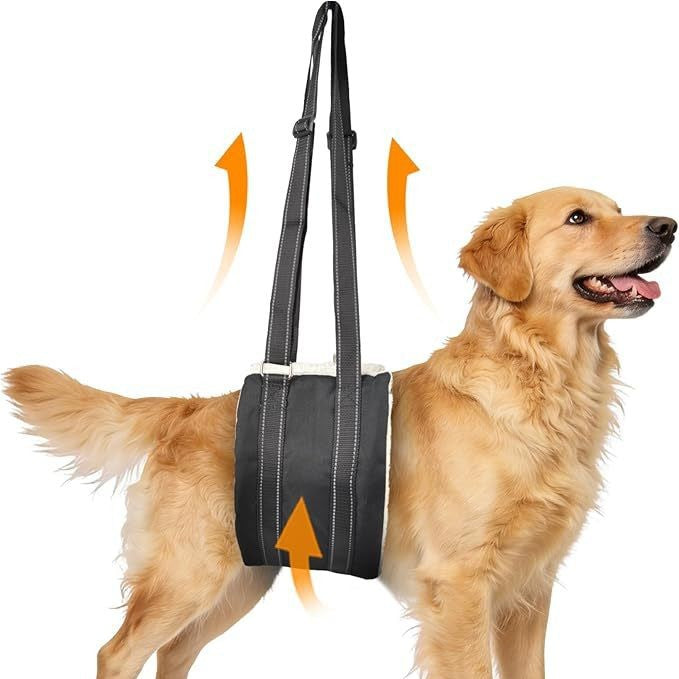 Black denim rear leg support harness for senior dogs, product image 1